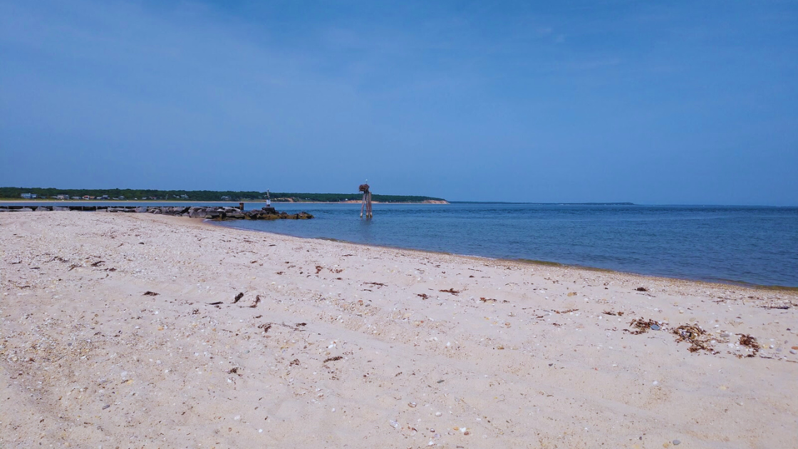 Maidstone Park Beach View