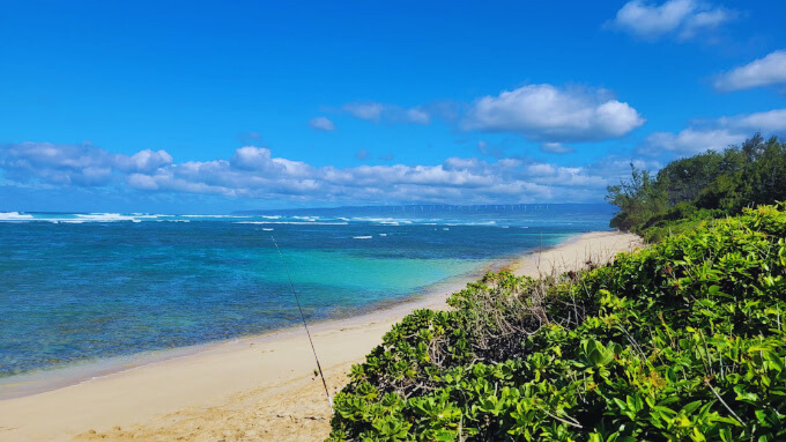 Mokulēʻia Beach Park View