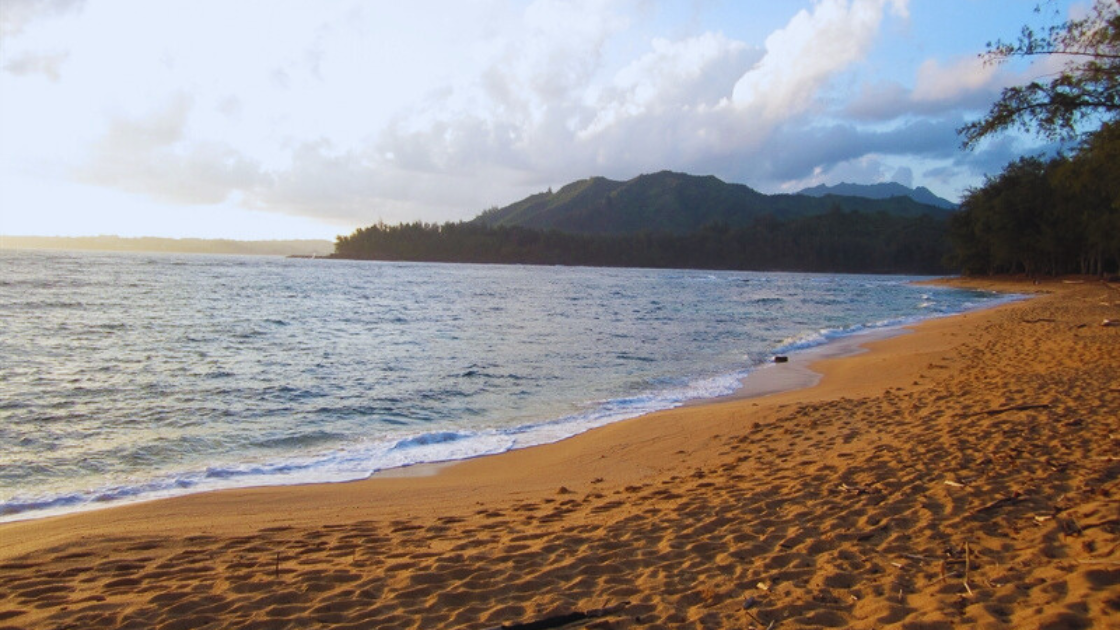 Wainiha Beach View