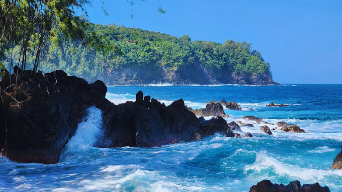 View In Laupahoehoe Beach Park