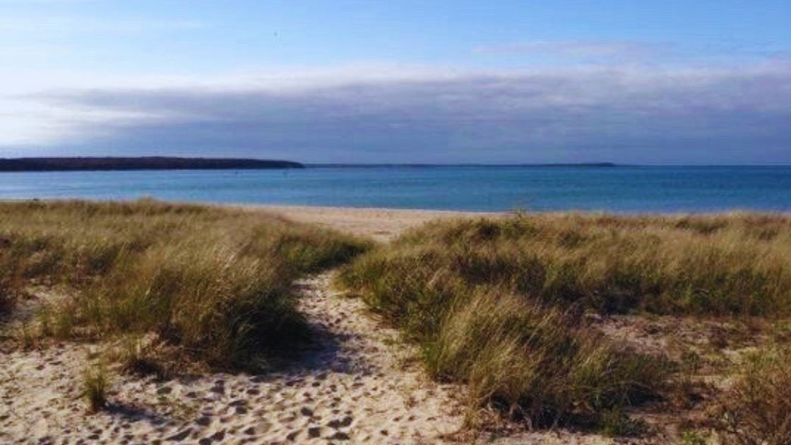 View In Maidstone Park Beach