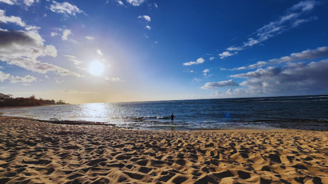 Family Activity Mokulēʻia Beach Park