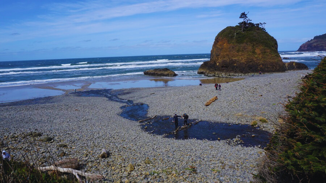 Family Activity Short Beach Oregon