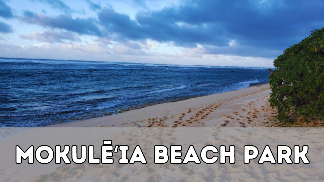 Mokulēʻia Beach Park