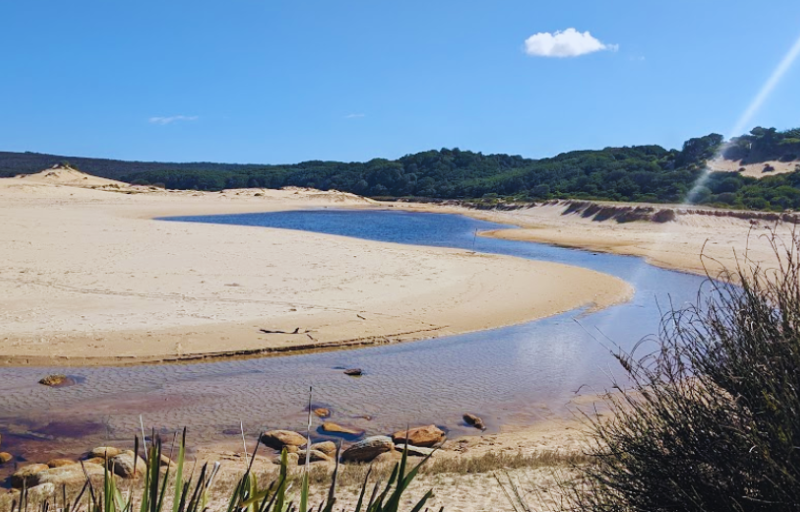 Discovering Marley Beach