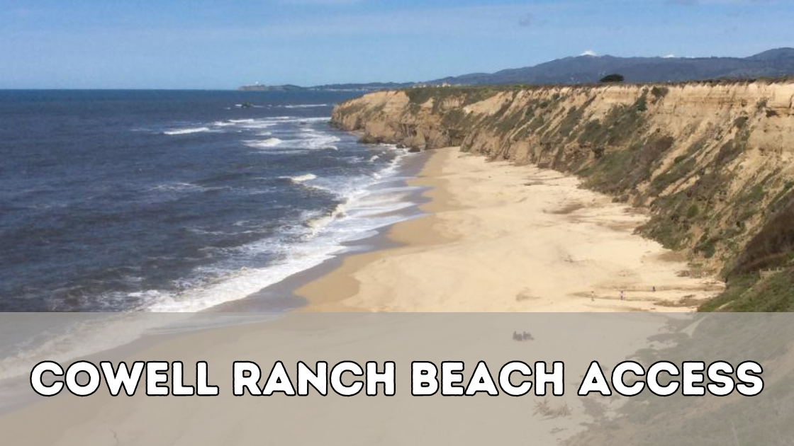 Cowell Ranch Beach