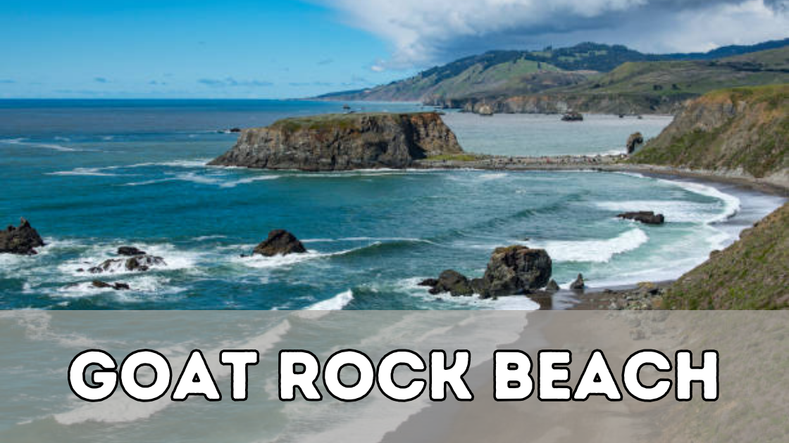Goat Rock Beach
