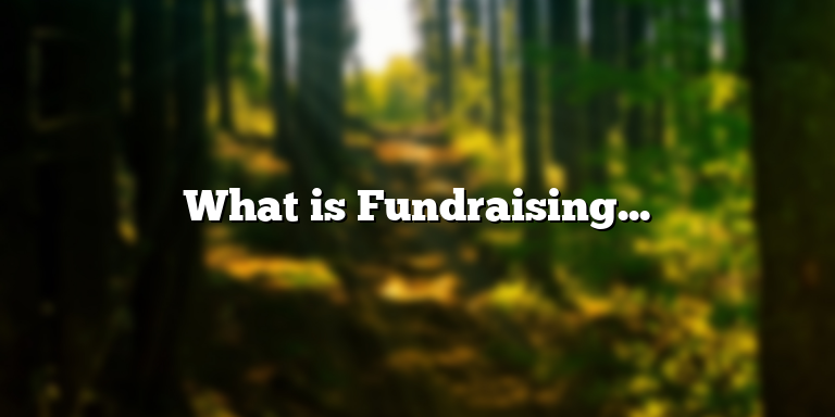 What is Fundraising? Definition, Types, and Tips for Successful Campaigns
