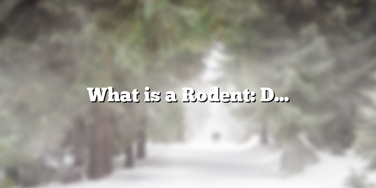 What is a Rodent: Definition and Characteristics
